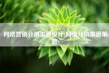 网络营销分销渠道设计(网络分销渠道策略)
