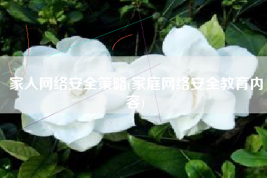 家人网络安全策略(家庭网络安全教育内容)