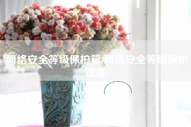 网络安全等级保护箱(网络安全等级保护设备)