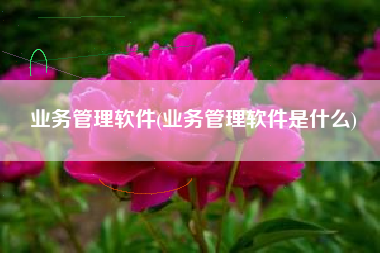 业务管理软件(业务管理软件是什么)