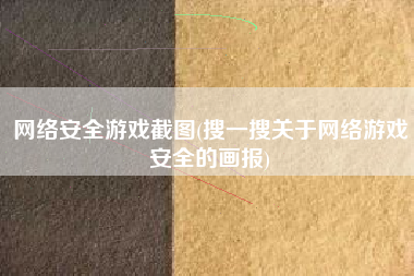 网络安全游戏截图(搜一搜关于网络游戏安全的画报)