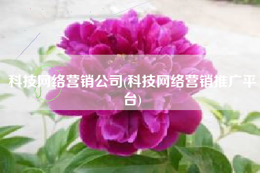 科技网络营销公司(科技网络营销推广平台)