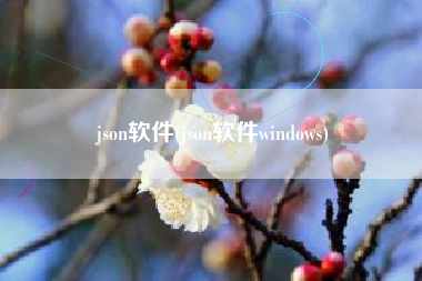 json软件(json软件windows)