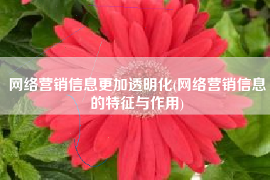 网络营销信息更加透明化(网络营销信息的特征与作用)