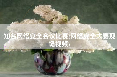 知名网络安全会议比赛(网络安全大赛现场视频)