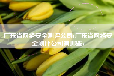 广东省网络安全测评公司(广东省网络安全测评公司有哪些)