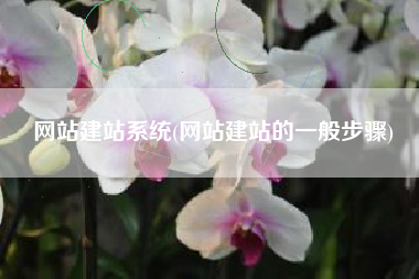 网站建站系统(网站建站的一般步骤)