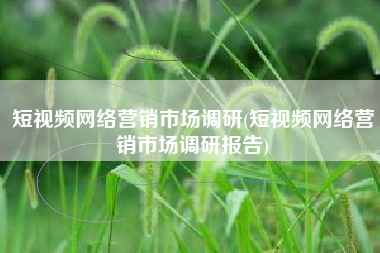 短视频网络营销市场调研(短视频网络营销市场调研报告)