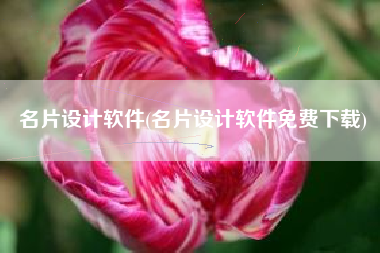 名片设计软件(名片设计软件免费下载)