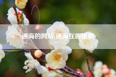 通海的网站(通海在哪里啊)