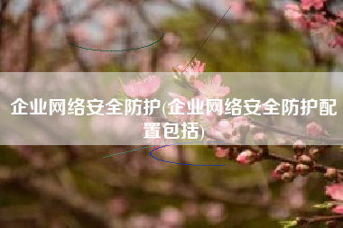企业网络安全防护(企业网络安全防护配置包括)