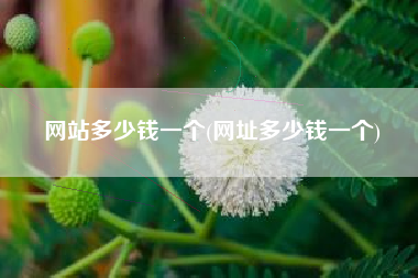 网站多少钱一个(网址多少钱一个)