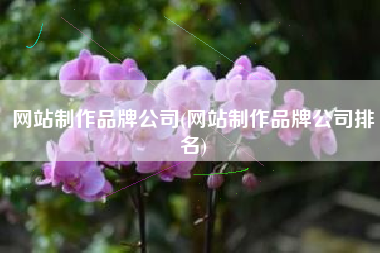 网站制作品牌公司(网站制作品牌公司排名)