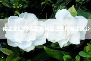 南昌企业网站建设(南昌企业网站建设公司)