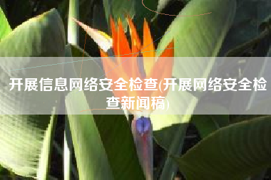 开展信息网络安全检查(开展网络安全检查新闻稿)