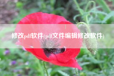 修改pdf软件(pdf文件编辑修改软件)
