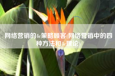 网络营销的4c策略顾客(网络营销中的四种方法和4c理论)