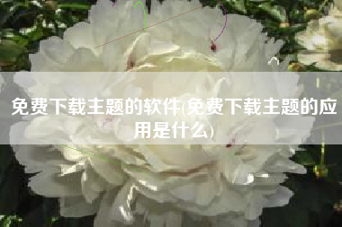 免费下载主题的软件(免费下载主题的应用是什么)