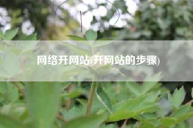 网络开网站(开网站的步骤)