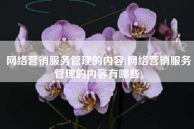 网络营销服务管理的内容(网络营销服务管理的内容有哪些)