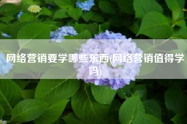 网络营销要学哪些东西(网络营销值得学吗)