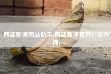 西部数据网站助手(西部数据官网在线查询)