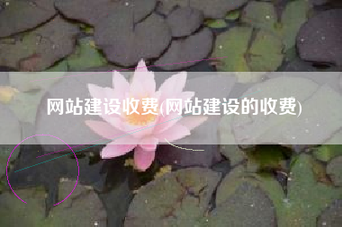 网站建设收费(网站建设的收费)