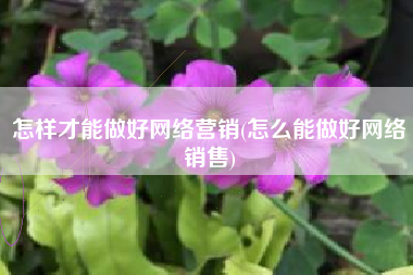 怎样才能做好网络营销(怎么能做好网络销售)