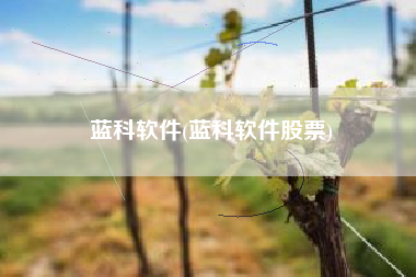蓝科软件(蓝科软件股票)