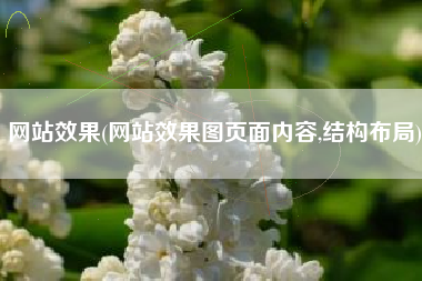 网站效果(网站效果图页面内容,结构布局)