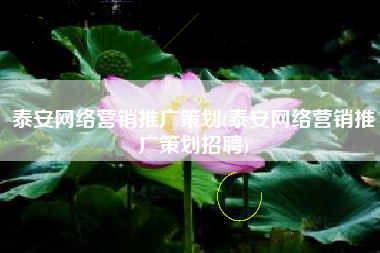 泰安网络营销推广策划(泰安网络营销推广策划招聘)