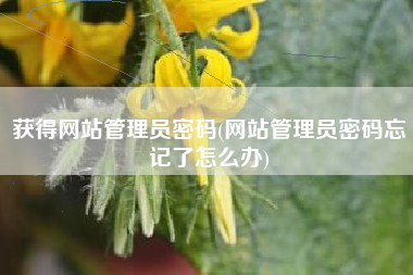 获得网站管理员密码(网站管理员密码忘记了怎么办)