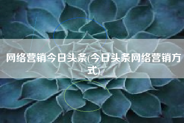 网络营销今日头条(今日头条网络营销方式)