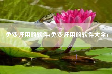 免费好用的软件(免费好用的软件大全)