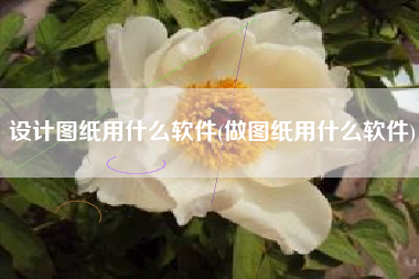 设计图纸用什么软件(做图纸用什么软件)