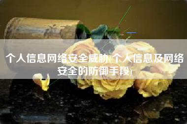 个人信息网络安全威胁(个人信息及网络安全的防御手段)