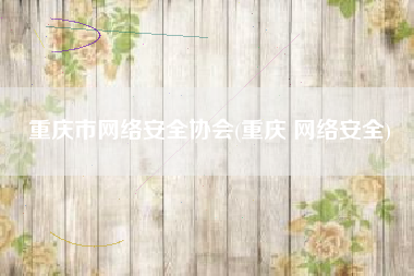 重庆市网络安全协会(重庆 网络安全)