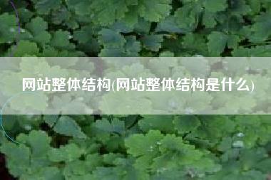 网站整体结构(网站整体结构是什么)