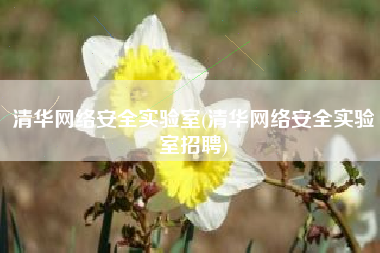 清华网络安全实验室(清华网络安全实验室招聘)