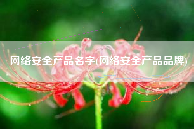 网络安全产品名字(网络安全产品品牌)