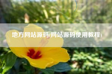 地方网站源码(网站源码使用教程)