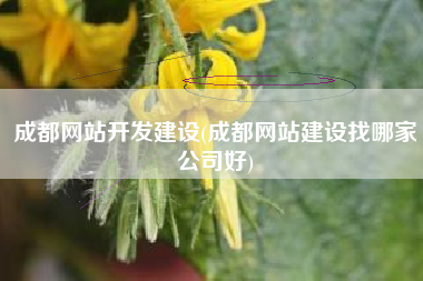 成都网站开发建设(成都网站建设找哪家公司好)