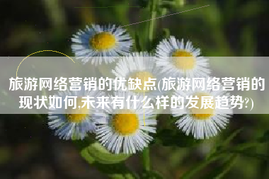 旅游网络营销的优缺点(旅游网络营销的现状如何,未来有什么样的发展趋势?)