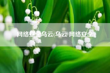 网络安全乌云(乌云 网络安全)