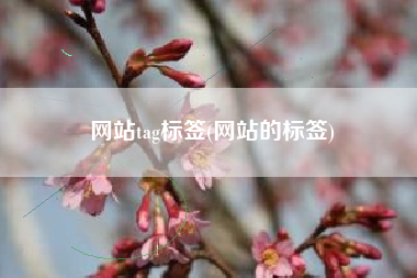 网站tag标签(网站的标签)