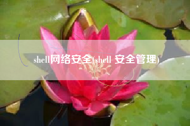 shell网络安全(shell 安全管理)