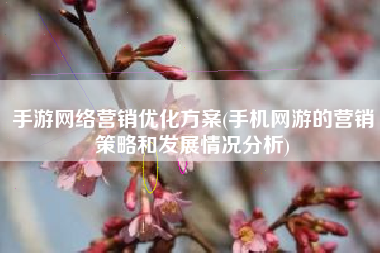 手游网络营销优化方案(手机网游的营销策略和发展情况分析)