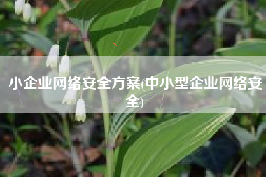 小企业网络安全方案(中小型企业网络安全)