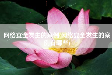网络安全发生的案例(网络安全发生的案例有哪些)