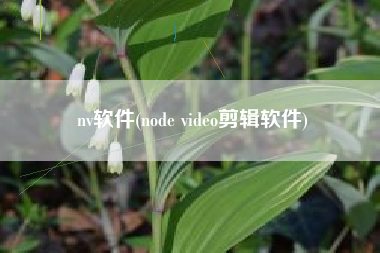 nv软件(node video剪辑软件)